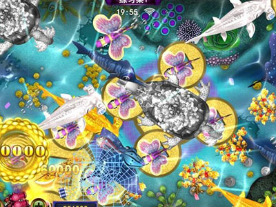 星力九代全新海王